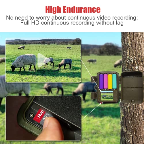 Hapimp Micro Sd Card 32Gb Tf Memory Card With C10, Sdhc, U1, A1, Uhs-I, 100 Mb/S, Compatible With Trail Cameras, Dash Cams, Phones, Pc, Cameras, Game Consoles, Drones And Surveillance Systems,Etc. #TOP4