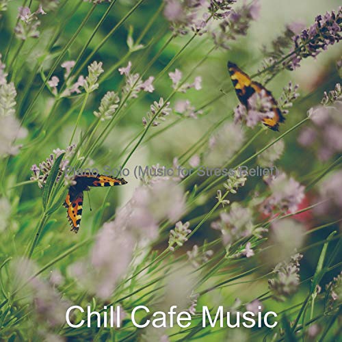 Amazon MusicでChill Cafe MusicのPiano Solo (Music for Stress Relief)を再生する