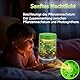 Dinosaurier Terrarium Set mit 3 Mini Dinos & Nachtlicht, Kreativ Pflanzen—Kit für Kinder ab 5-12 Jahre, Geburtstagsgeschenk