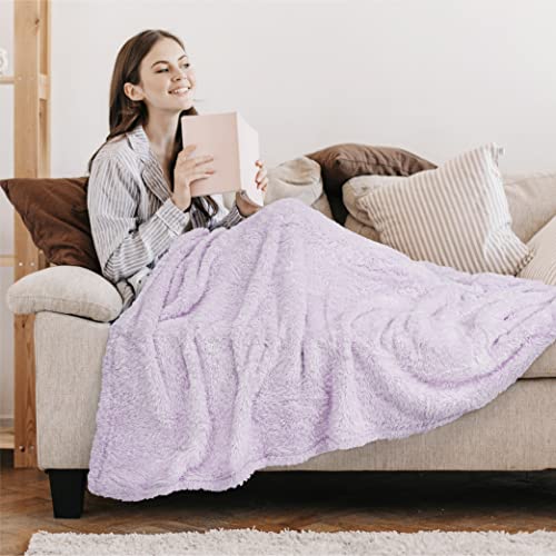 Pavilia Plush Sherpa Throw Blanket For Couch Sofa | Soft Fluffy Shaggy Fleece Blanket | Fuzzy, Cozy, Warm Microfiber Throw Solid Blanket, Lavender Light Purple, 60X80, Twin Bed #TOP4