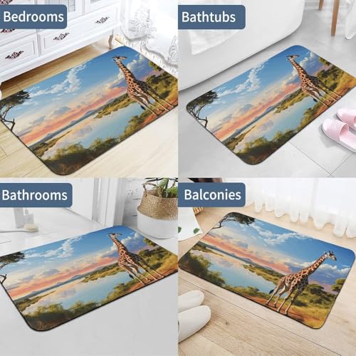 Tapis de bain terre de diatomées antidérapant rivière du Nil - 6