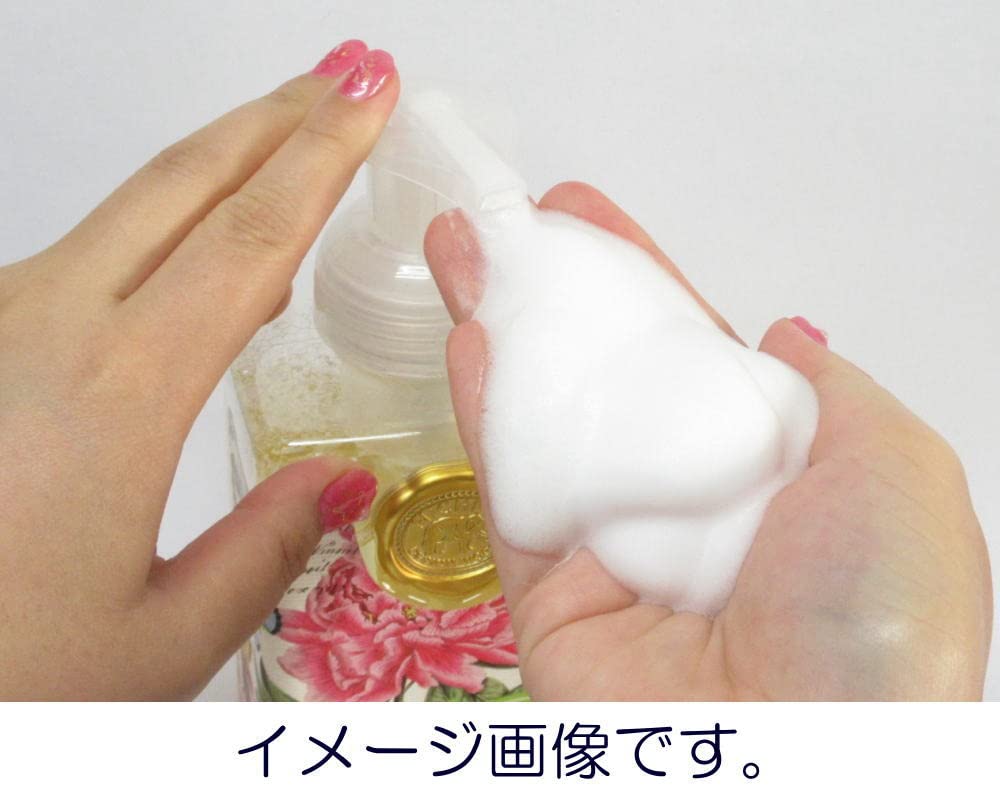 Amazon.co.jp: ミッシェルデザインワークス 泡ハンドソープ 30％引き