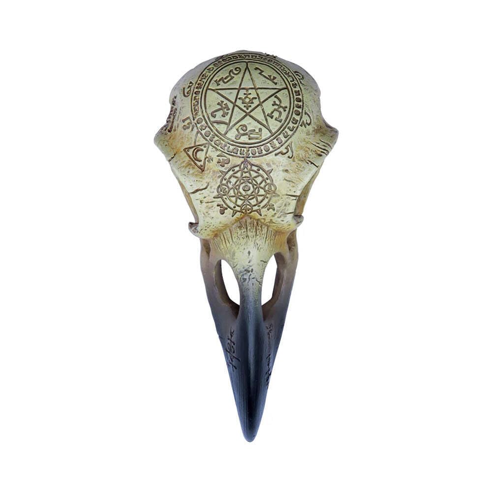 Alchemy Gothic Omega Raven Skull