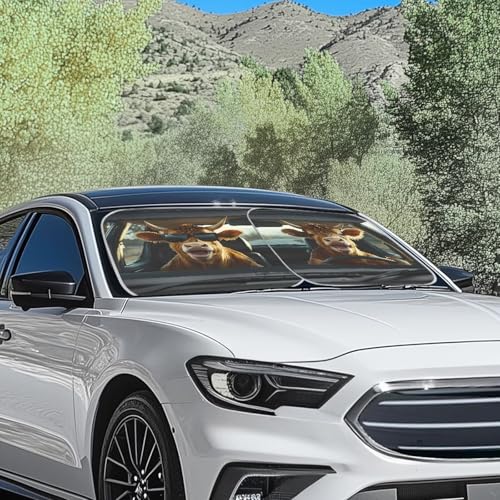Image of Fashion Highland Cow Sunshade Visor 2 PCS Car Windshield Sun Shade Easy Installation Foldable Automotive Interior Accessories for Sun Protection Sun Shade for UV Protection