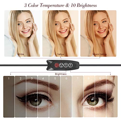 Ringleuchte 25,4 cm mit verstellbarem Stativ und Handy-Halterung für YouTube-Video, dimmbar, LED-Ringlicht für Selfie… – Bild 5