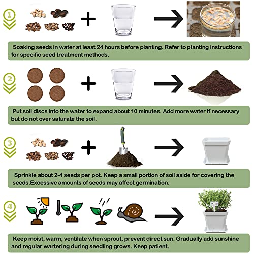 Meekear 10H-W Herb Grow Kit, 10 Herb Seeds Diy Garden Starter Kit thumb #4