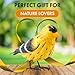 GUTE American Goldfinch Metal Garden Bird, Yard Sculpture Art - Large Realistic Standing Gold Finch Bird - Outdoor Fall, Winter, Spring, Summer Decoration - Decor - Perfect and Sympathy Gifts
