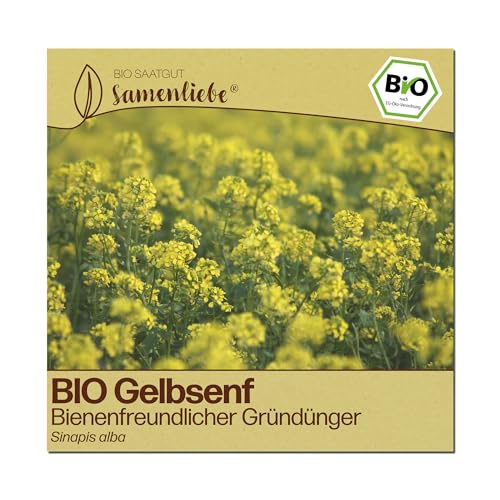 Samenliebe BIO Gelbsenf Samen | Gründünger - Bienenweide - samenfestes BIO Saatgut