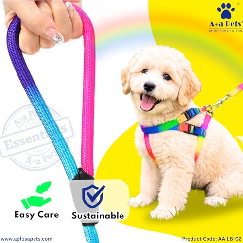 Image of A+a Pets' Harness and Leash Set | Colourful Combo in Rainbow for Cats and Dogs (XS)
