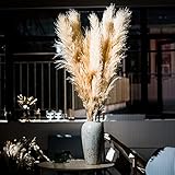 Shophulic Natural Dried Pampas Grass- 5 Stems, 48 Inches (4 Feet), Dried Pampas Grass Large for...