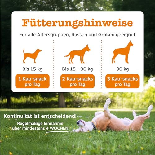 Zesty Paws Hunde Prä, Post & Probiotika als Leckerli, 90 Snacks