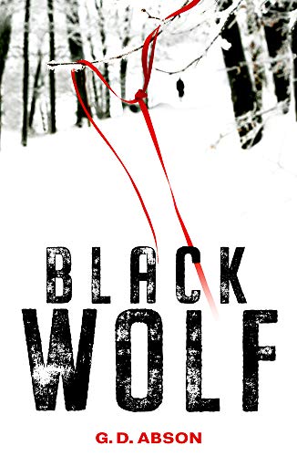 Black Wolf: 2 (The Natalya Ivanova thrillers)