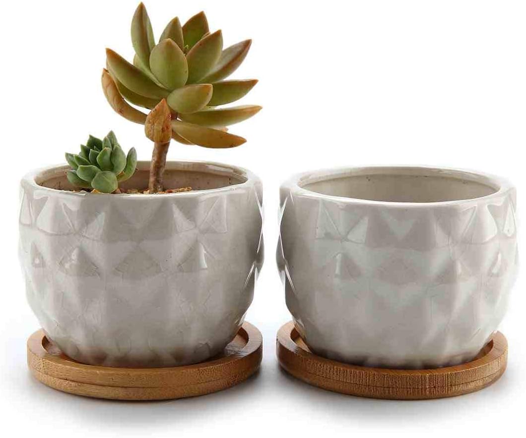 ComSaf 8.3CM Ceramic Succulent Cactus Planter Pot Set with Bamboo Tray Pack of 2 - Pineapple Shape White, Home and Office Decoration Desktop Windowsill Bonsai Pots Wedding Birthday