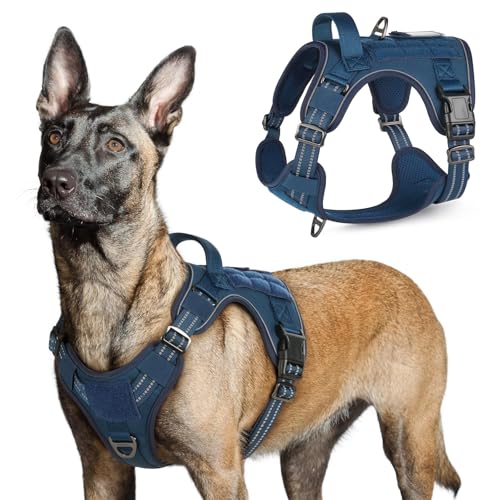 rabbitgoo Tactical Dog Harness for Large Dogs, No Pull Military Service Vest with Handle & Molle, Easy Control for Training Walking, Adjustable Reflective Straps, Blue, L