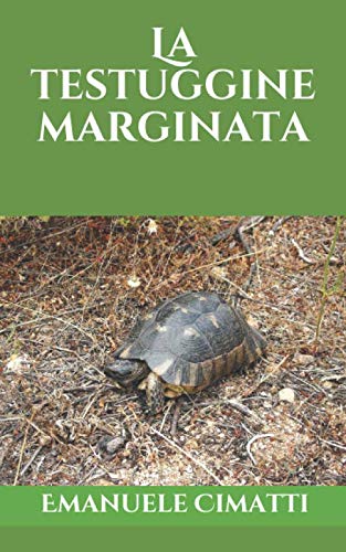  La testuggine marginata: Testudo marginata
