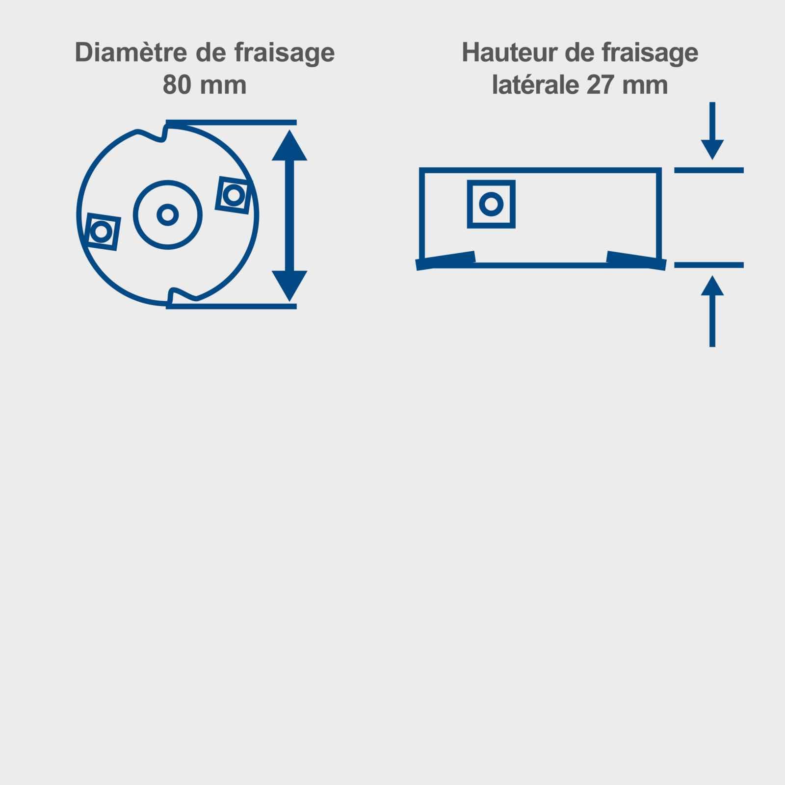 Scheppach Rabot fraiseuse à peinture 720W LFR720 - largeur de fraisage 80 mm - 10 000 tr/min - profondeur de fraisage 0-0,3 mm - 4 lames - élimine peintures et vernis