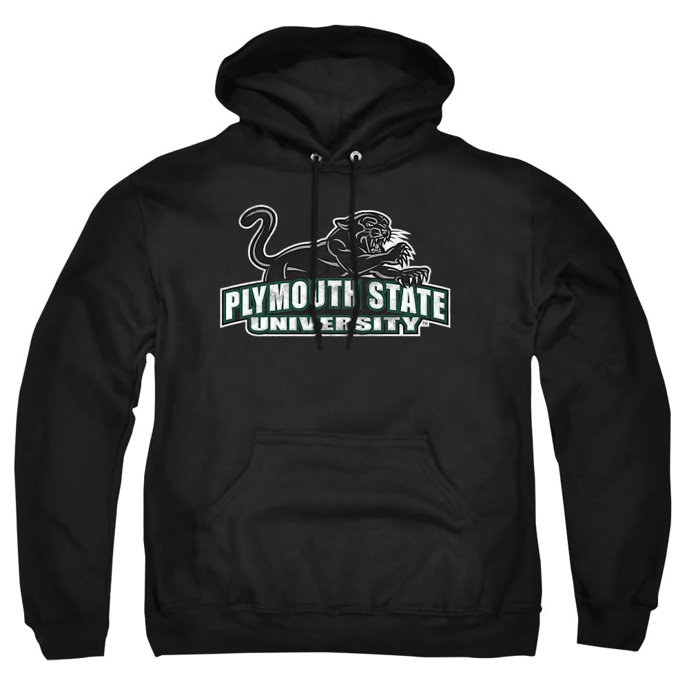 LOGOVISION Official Collegiate Distressed Primary Logo Adult Pullover Hoodie Collection — view 161