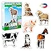 Magnetica puzzle 3 años MAGDUM Animales GRANJA - 6 Grandes Puzzle bebe - Juguetes magnéticos - Imanes nevera niños - Juguetes niños 3 años educativos - Letras magneticas niños - Imanes niños