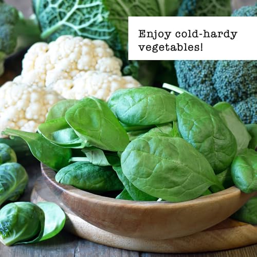 Image of Ferry Morse Vegetable Seed Variety Pack - Cold Hardy, High Germination Rate, GMO Free - 7 Pack