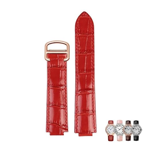 [sooponj] JeBGp u[ o[ ʌ^ rvp{vrvoh Xgbv ANZT[(Red Rose Gold Buckle,14.8mm)