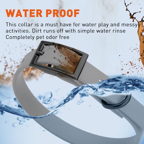 Image of Dogline Biothane Waterproof Dog Collar Strong Coated Nylon Webbing with Black Hardware Odor- Proof for Easy Care Easy to Clean High Performance Fits Small Medium or Large Dogs, Battleship Gray
