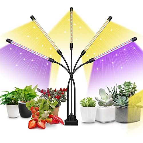 Top 10 Best Grow Lights For Citrus Trees Reviews For You Home Tillage