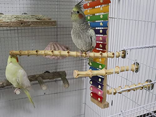 3 Pack Bird Perch Stand, Natural Bamboo Parrot Paw Grinding Toys, Bird Cage Accessories, Bird Paw Grinding for Small Birds Parrots Parakeets Cockatiels Conures Finches Love Birds - Thumbnail 4