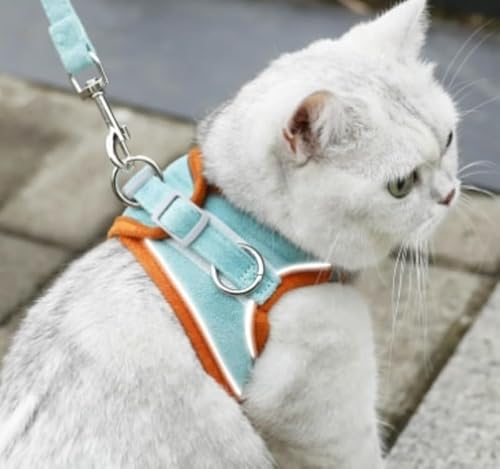 AZIEBAY qLAqA^p̔Lpn[lXASցA_炩pbht̊~ߔLpxXgAyʁAʋCAԔˁATCY\