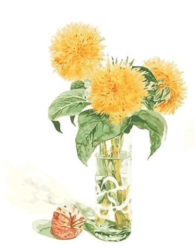 Zdklfm69 Pintar por Numeros Pintura por Números Kits de Pintura en Lienzo de Flor en jarrón, decoración del hogar, Bricolaje, Colorear por números, Paisaje, 40x50cm