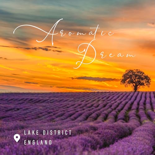 TRINIDa Sleep Candles Gifts for Women & Men – Lavender Scented Candles Gift Set for Anxiety, Lavender Promotes Sleep, Chamomile Relieves Stress, Relaxation/Birthday Gifts for Women - Image 6