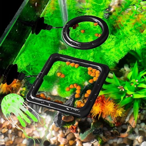 Image of 2pcs Feeding Fish Ring Set, Fish Food Feeder +Thermometer Strip, Tank Decor, Aquarium Tank Accessories for Floating Foods, for Betta, Guppy, Goldfish Etc