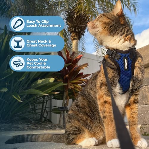 Image of Voyager Escape-Proof Step-In Lock Cat Harness & 5ft Neoprene-Handle Leash Set All-Weather Mesh with Reflective Stitching For Small to Large Cats by Best Pet Supplies, Royal Blue /Black Trim, S