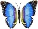 Romantiko 12 Pcs Fashion 3D Butterfly Decor Decal Wall Stickers Art( Blue)