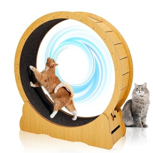 Large Cat Exercise Wheel,39.4-inch Cat Exercise Wheel for Indoor Cats,Silent Cats Running Treadmill Wheel with Detachable Carpeted Runway & Safety Lock for Cat's Fitness Running Walking Training