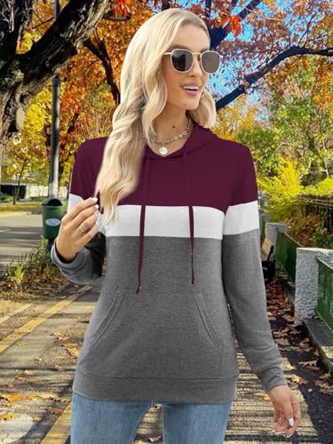 Image of MixShe Women's 2026 Fall Long Sleeve Hoodie Pullover Sweatshirt Lightweight Casual Tops Blouse