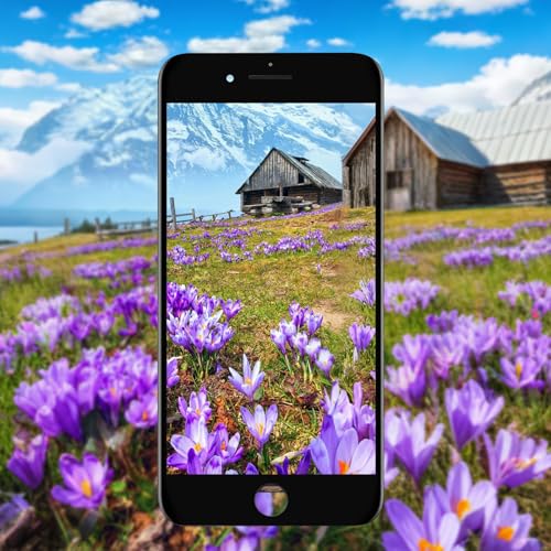 Écran LCD pour iPhone 8 Plus noir 5,5 pouces avec kit outils LMQ