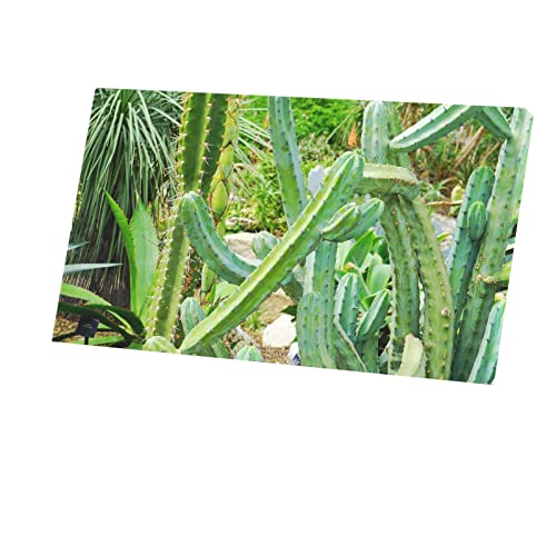Toile imprimée cactus dans les bois Cereus aux finitions soignées 107 x 60 cm
