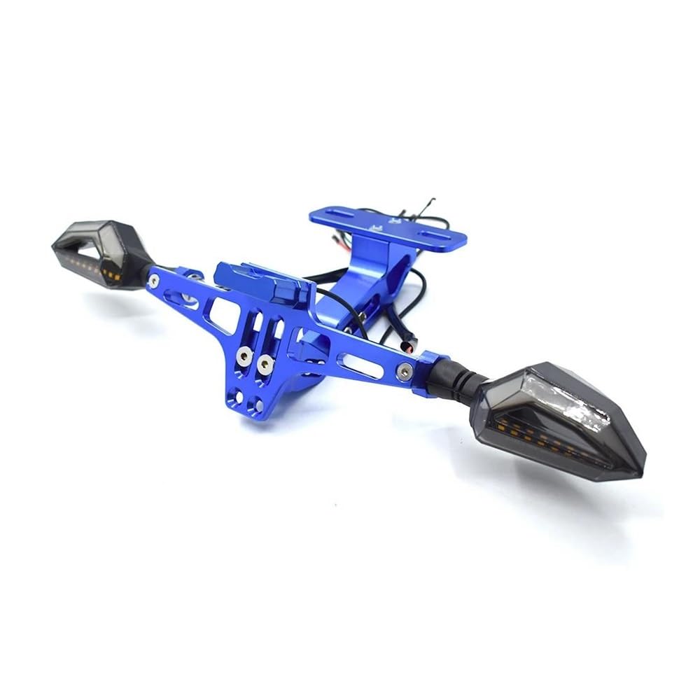 DDGBERFP For R1200R R1200GS F800GS F650GS F700GS F800R G450X G650 G310R Motorcycle License Plate Bracket CNC Aluminum Alloy With Light(Blue)