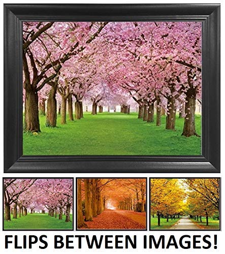 Autumn Changing Tree Leaves 3D Poster Wall Art Decor Framed Print | 12X16 Inches | Beautiful Nature Scene Of Spring Colors Lenticular Posters & Pictures #TOP2