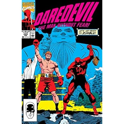 Daredevil (1964-1998) #289