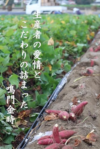 鳴門のニシムラ 鳴門金時 熟成 冷凍焼き芋 Sサイズ約1.5kg 里浦産 の商品画像 5