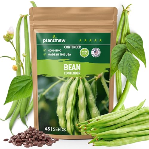 PLANTMEW Contender Bush Bean Seeds - 45 Heirloom, Non-GMO Seeds - High Yield Stringless Green Bean for Home Vegetable Garden, Containers