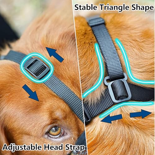 GIONAR Giftköderschutz Hund, Maulkorb Mittlere Hunde, Maulkorb Hund Prevent Fressen/Kauen/Beißen Hunde Maulkorb, Atmungsaktiv Reflektierende Einstellbare(Schwarz, M)