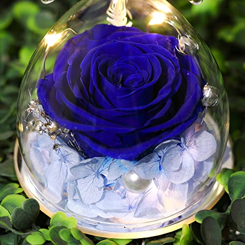 Ocosy Forever Real Rose Light Angel Gift, Romantic Gift For Her, Preserved Real Flower Rose In Angel Figurines Rose For Valentine's Day Anniversary Christmas - Dark Blue #TOP2