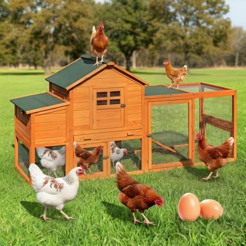 Large Wooden Chicken Coop for 4-6 Chickens, Secure Outdoor Hen House with Enclosed Run, Weather-Resistant Roof, Easy-Clean Slide-Out Tray & Nesting Boxes (Includes 2 Training Eggs)