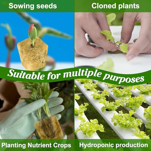 JolliKids 600 Pieces 1'' Rockwool Cubes for Hydroponics, Rock Wool Planting Cubes with 10 Plant Name Tags Rockwool Starter Plugs Mini Blocks for Soilless Cultivation Seedlings Cutting - Image 5