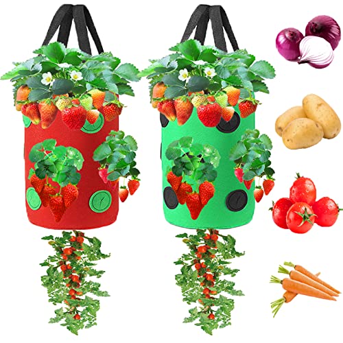 Miewslan 2 Packs Upside Down Tomato Planter, Hanging Strawberry Planter Tomato Potato Strawberry Grow Bags Garden Plant Vegetable Planting Bag with Holes(Green+Red)