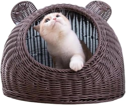 MLTUN MAKAN C~e[Vكh[LnEXZ~N[YhI[V[YYBt@bV^􂦂ʋChbOnEX (R[q[̐F,M-45*45CM)