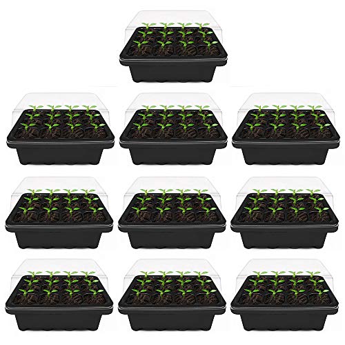 78Henstridge 10 Stücke Zimmergewächshaus Anzucht Gewächshaus Anzuchtschale Mini Anzuchtkasten mit Deckel und Belüftung für Sämling Pflanze Aufzucht (10 Stücke) Cover