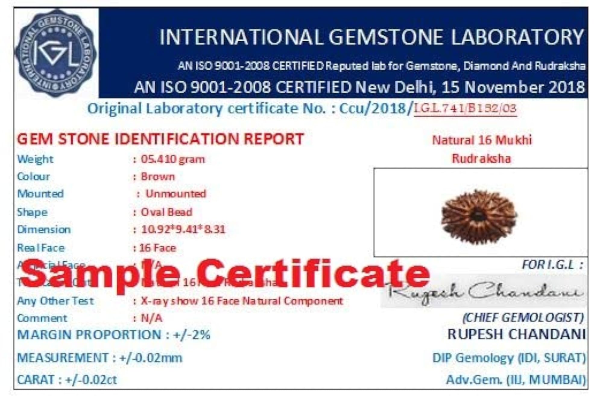 IRIS GEMS 16 Mukhi Rudraksha Genuine Solha Mukhi
